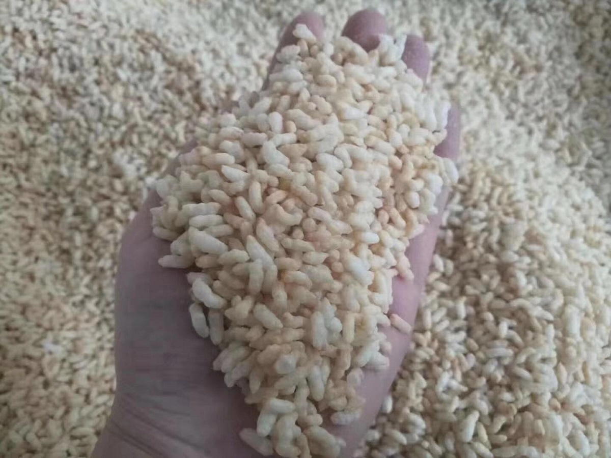 寰俊鍥剧墖_201911251314353.jpg 寰俊鍥剧墖_201911251314353.jpg